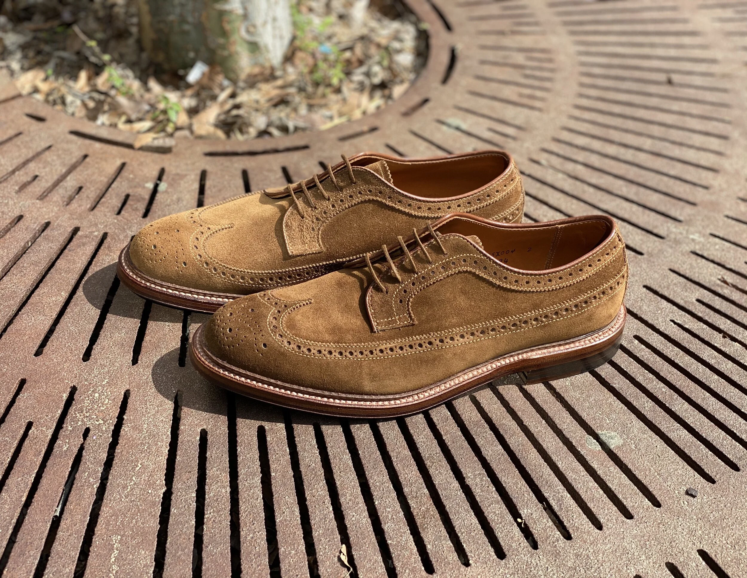 Alden Shoe 9794 Longwing Blucher Snuff Suede — Ealdwine Raleigh